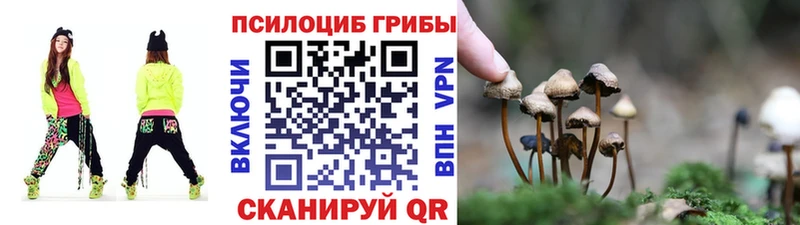 хочу   Белгород  Галлюциногенные грибы мухоморы 