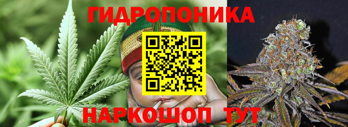Конопля марихуана Белгород