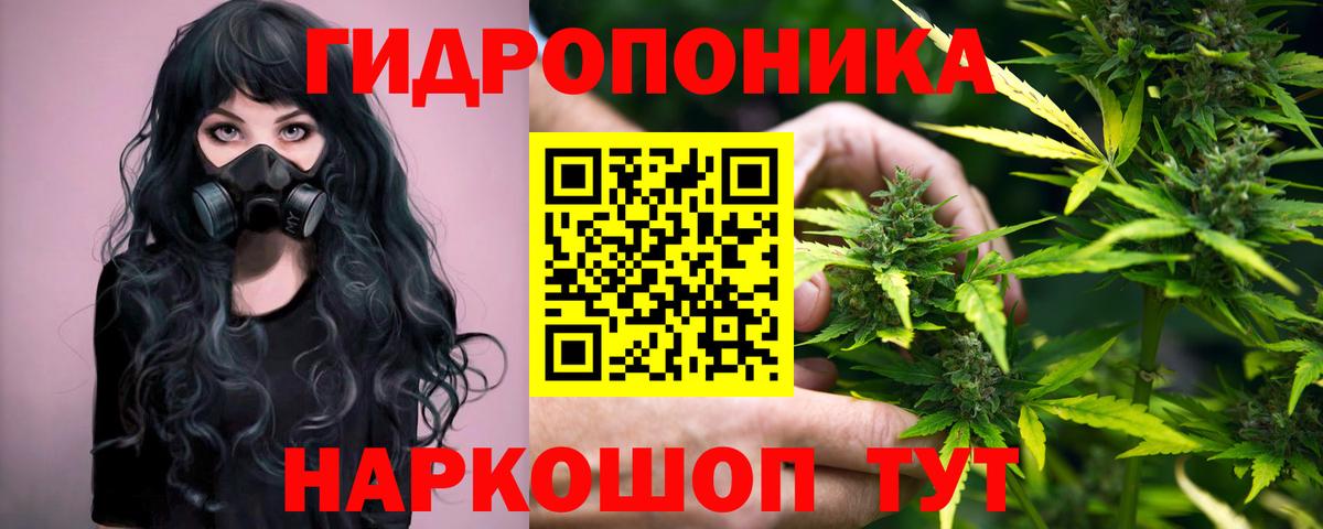 Белгород  Шишки марихуана гибрид  Марихуана план  Вход с VPN 
